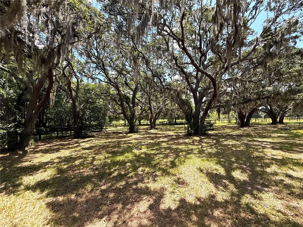 7119 SW 80th Avenue Ocala FL 34481