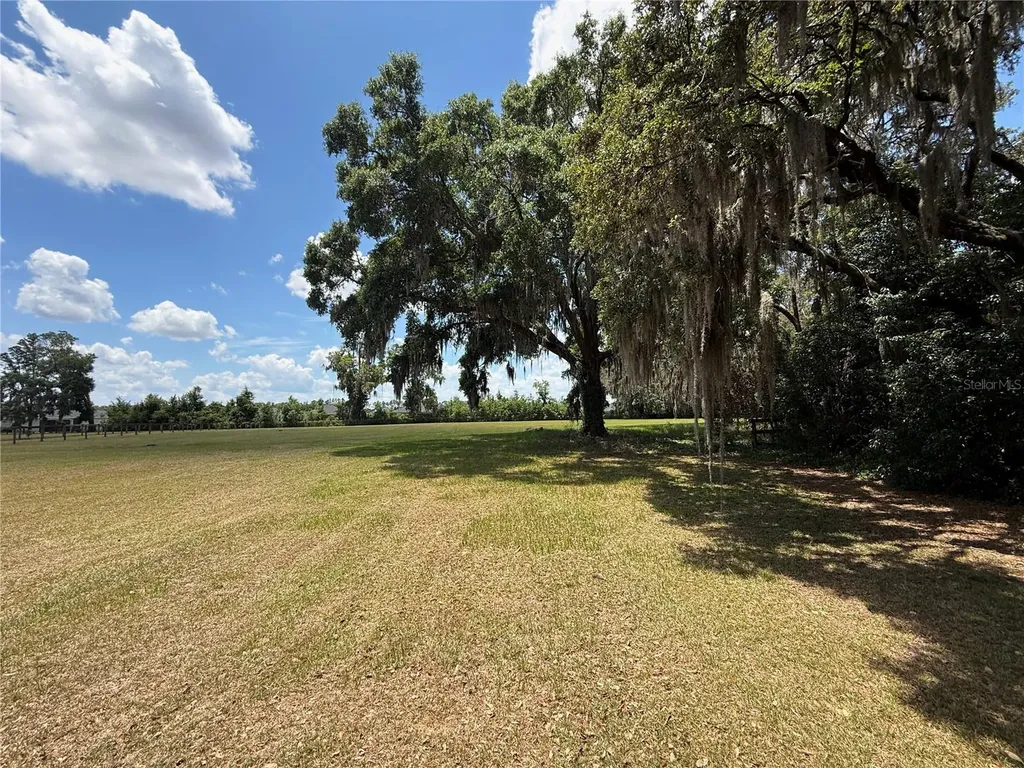7119 SW 80th Avenue Ocala FL 34481