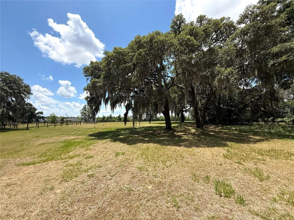 7119 SW 80th Avenue Ocala FL 34481