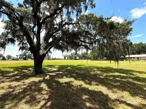 7119 SW 80th Avenue Ocala FL 34481
