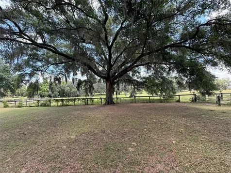 7119 SW 80th Avenue Ocala FL 34481