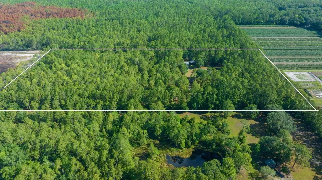 11521 SE 1st Street Road Silver Springs FL 34488