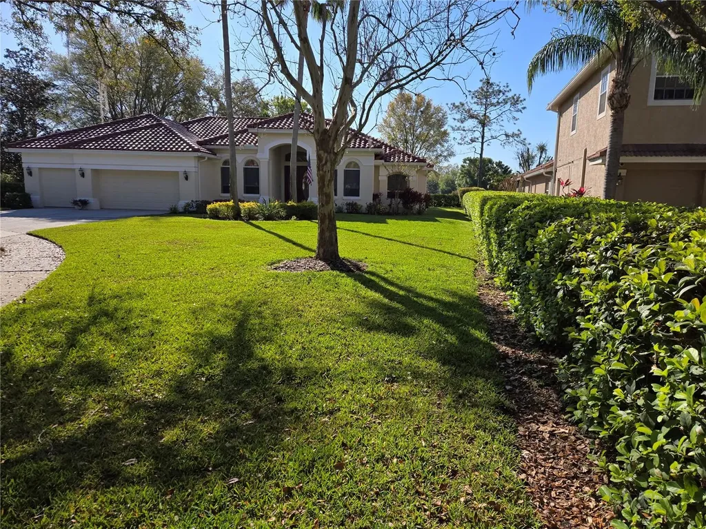 9127 Woodridge Run Drive Tampa FL 33647