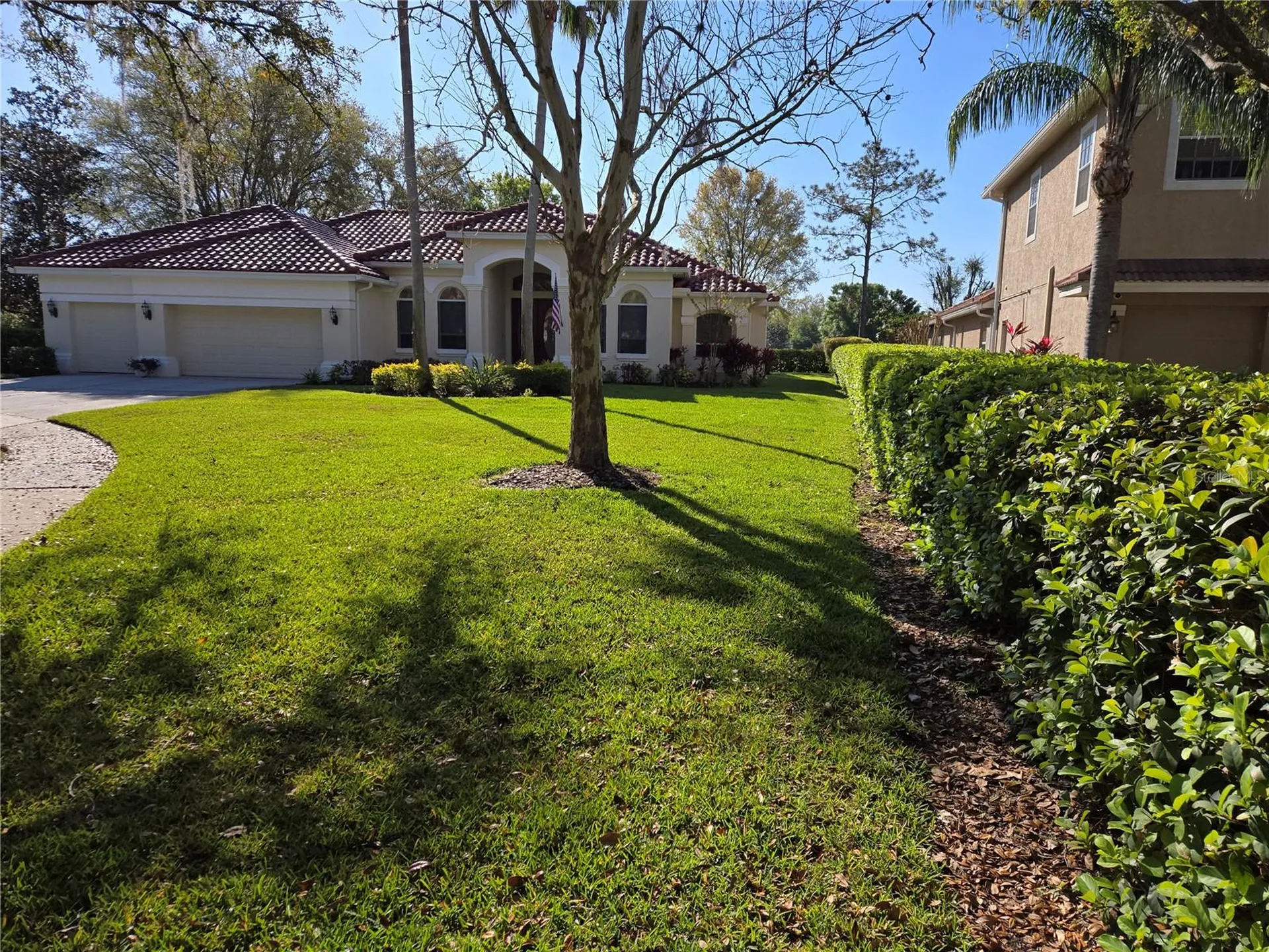 9127 Woodridge Run Drive Tampa FL 33647