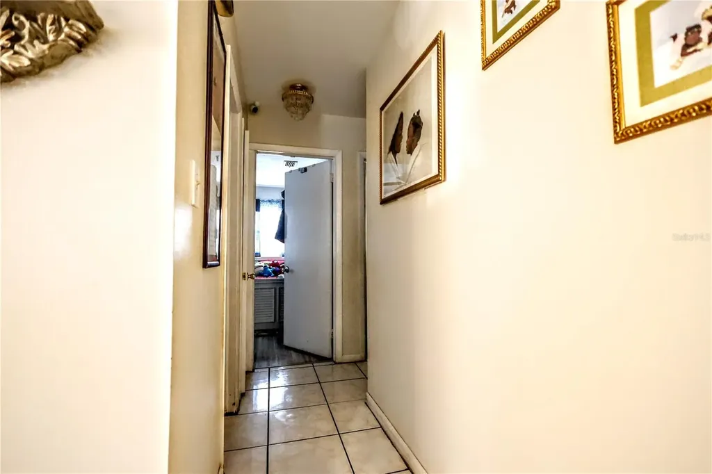 11411 N 19th Street Tampa FL 33612
