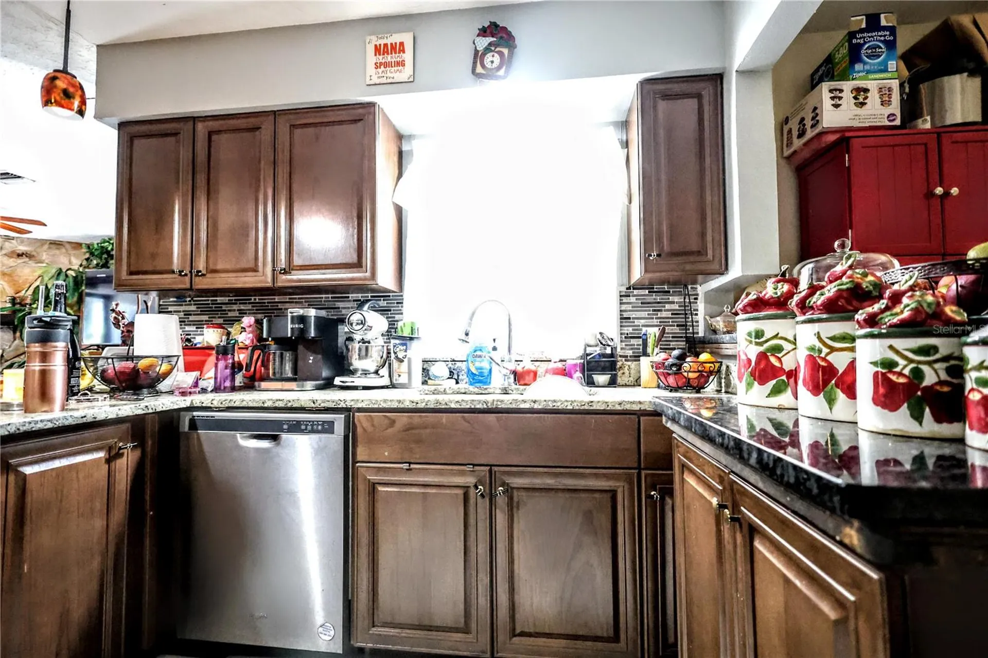 11411 N 19th Street Tampa FL 33612