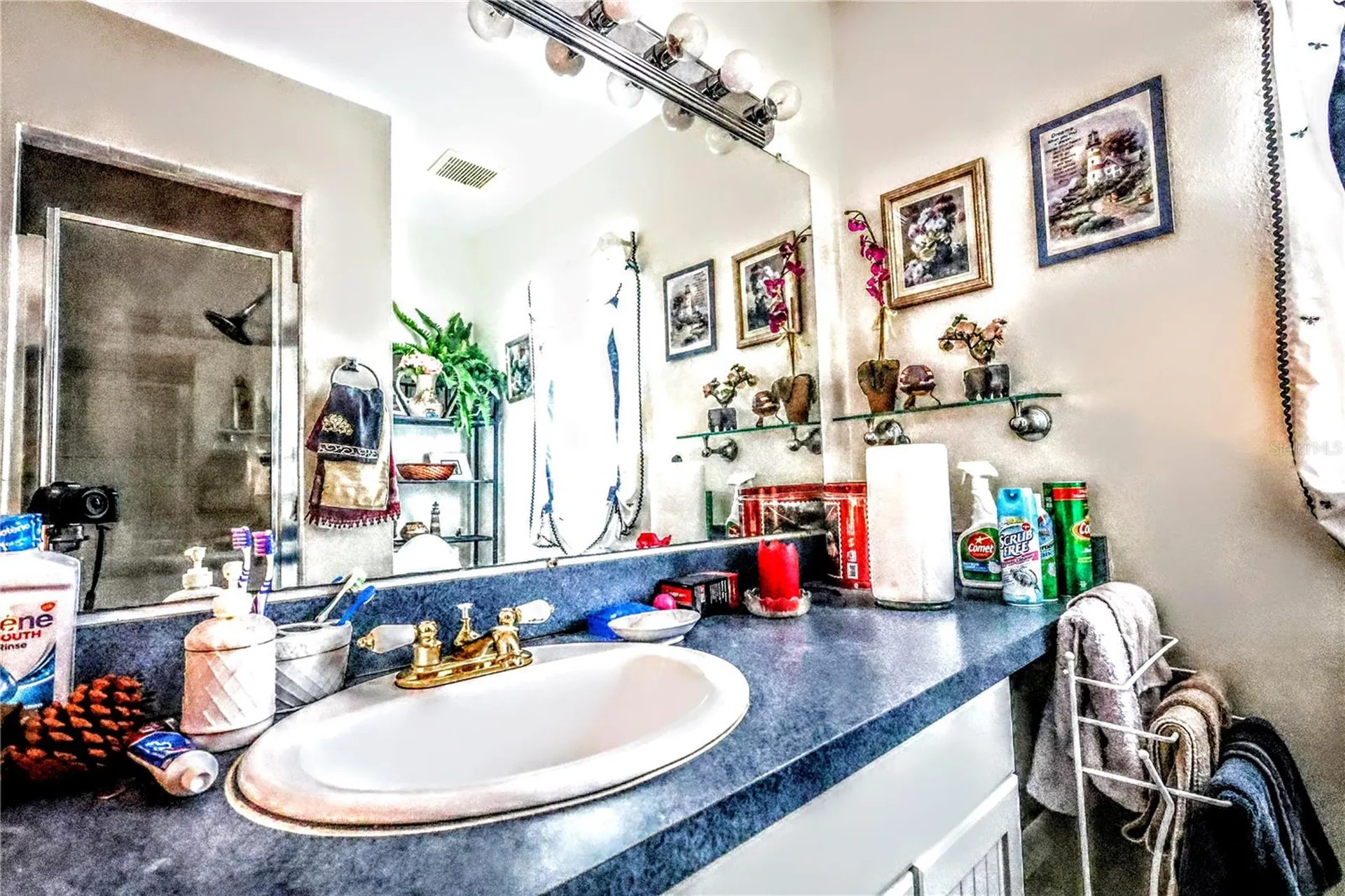 11411 N 19th Street Tampa FL 33612