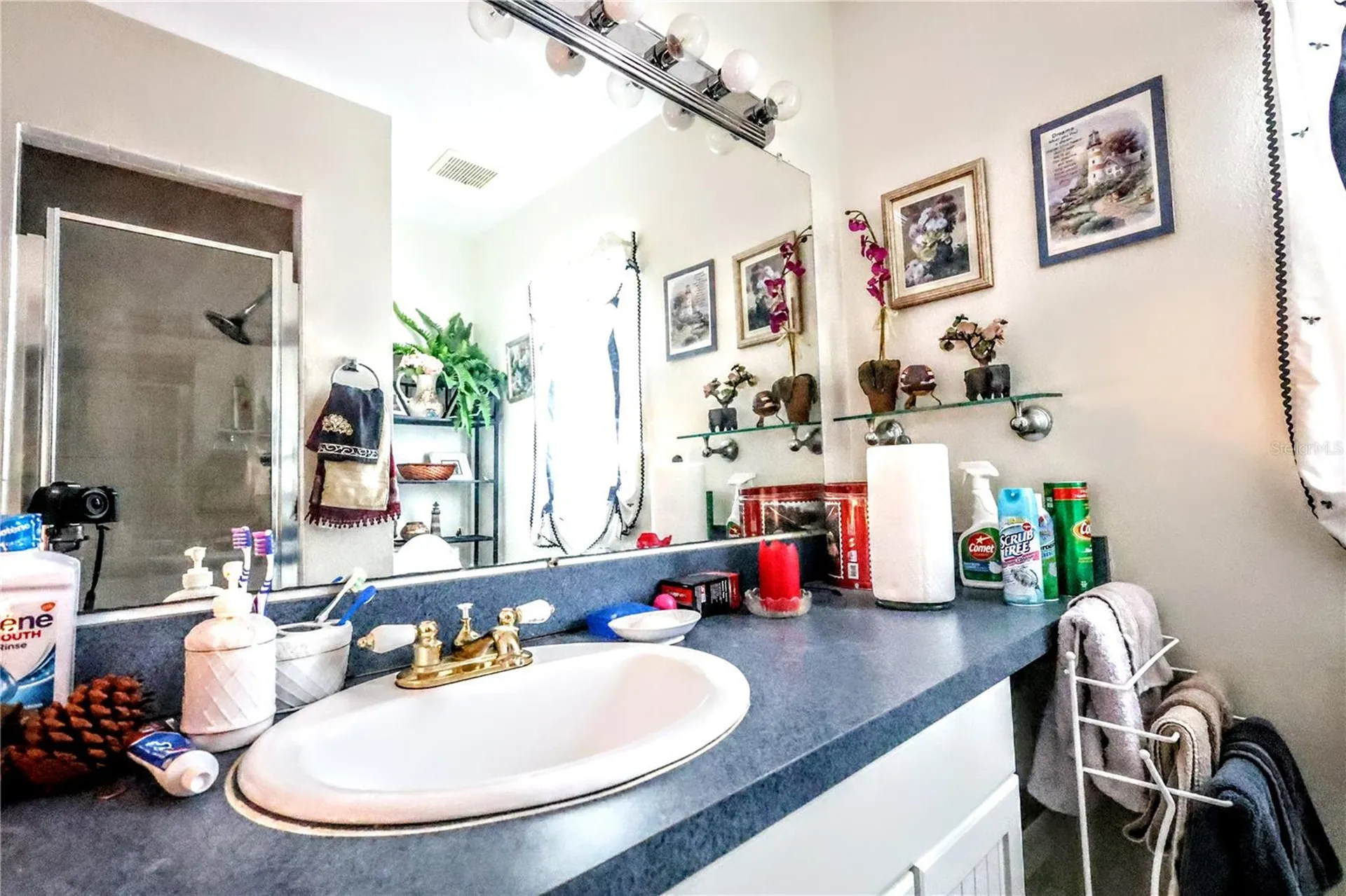 11411 N 19th Street Tampa FL 33612