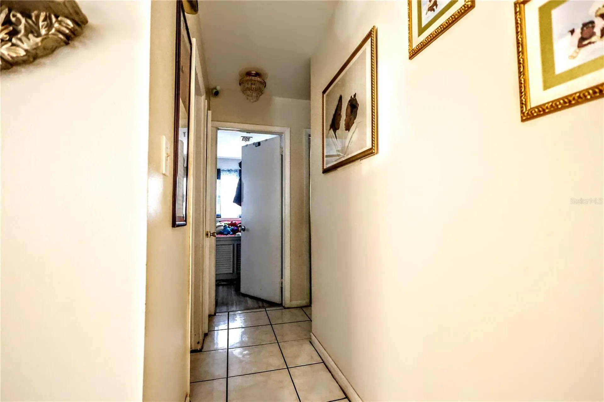 11411 N 19th Street Tampa FL 33612
