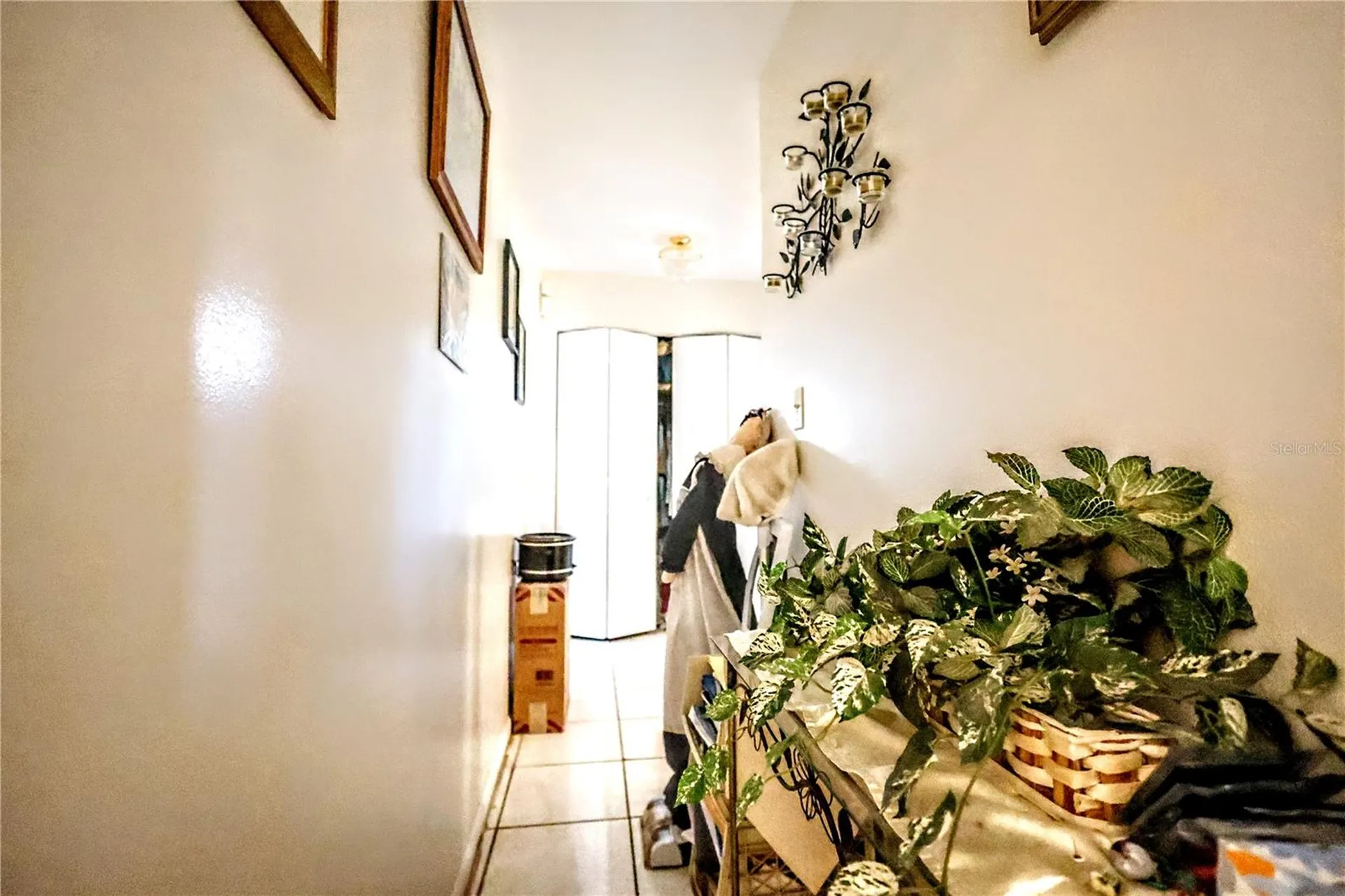 11411 N 19th Street Tampa FL 33612