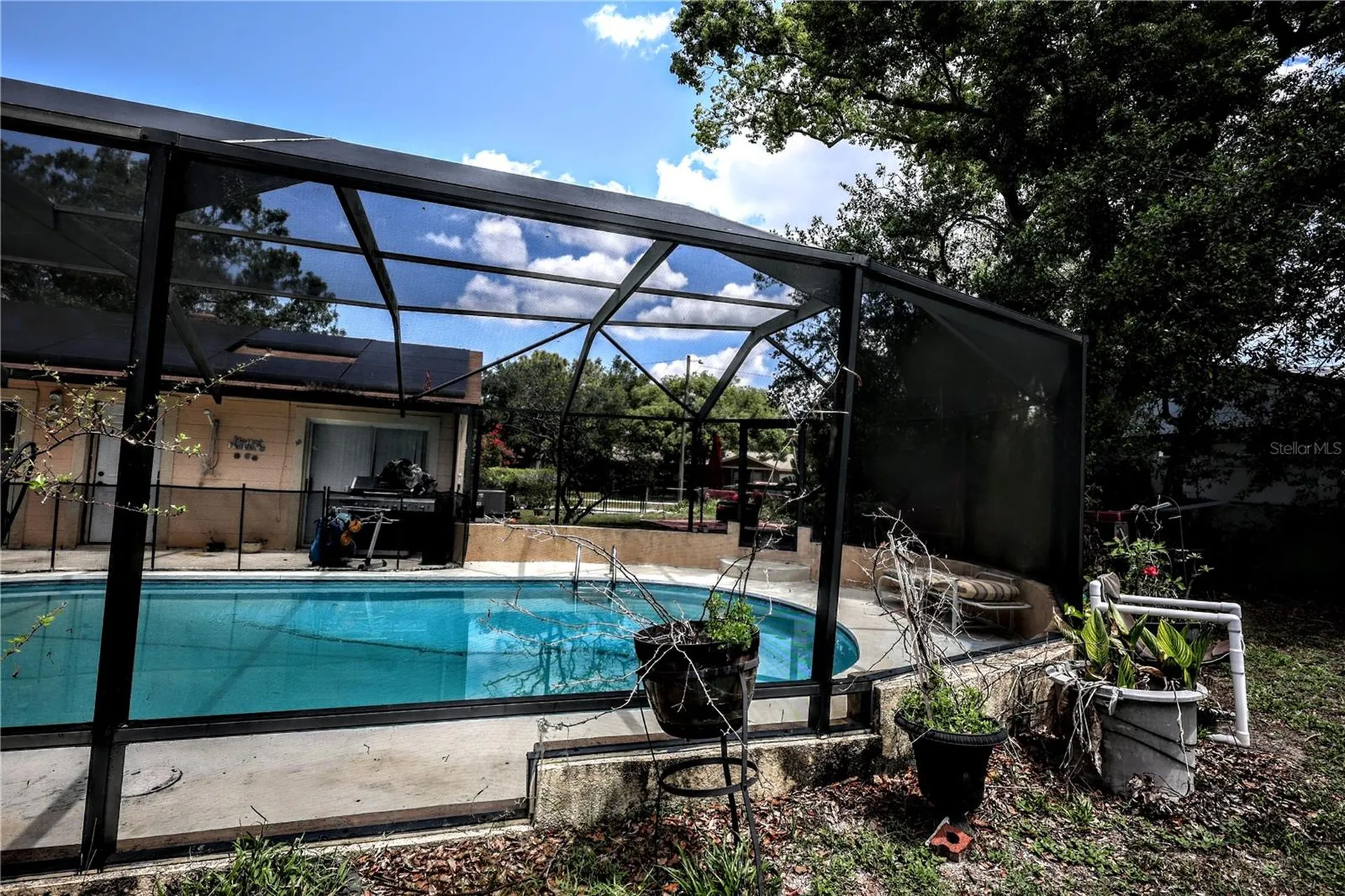 11411 N 19th Street Tampa FL 33612