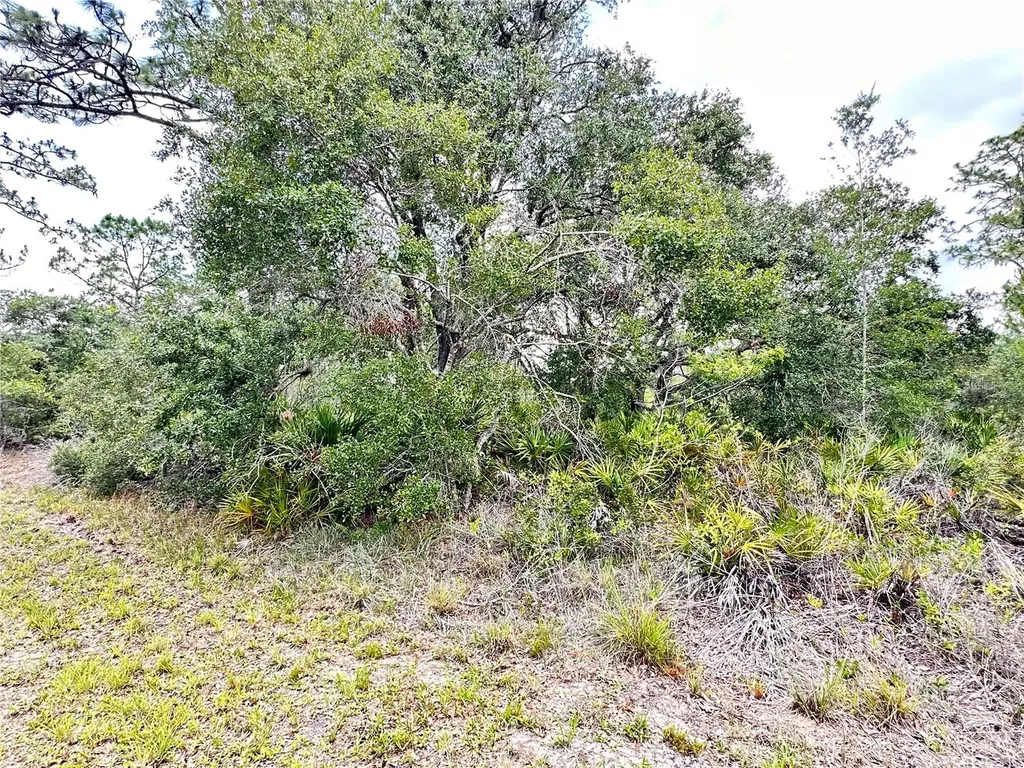 514 Indian Lake Drive Indian Lake Estates FL 33855