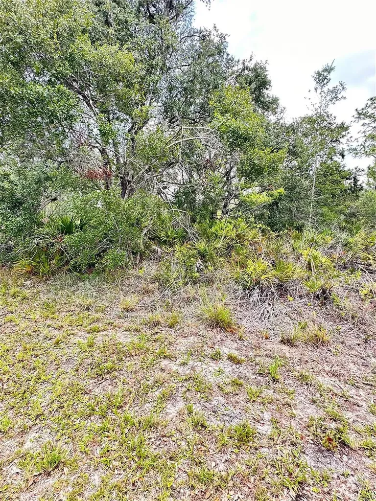 514 Indian Lake Drive Indian Lake Estates FL 33855