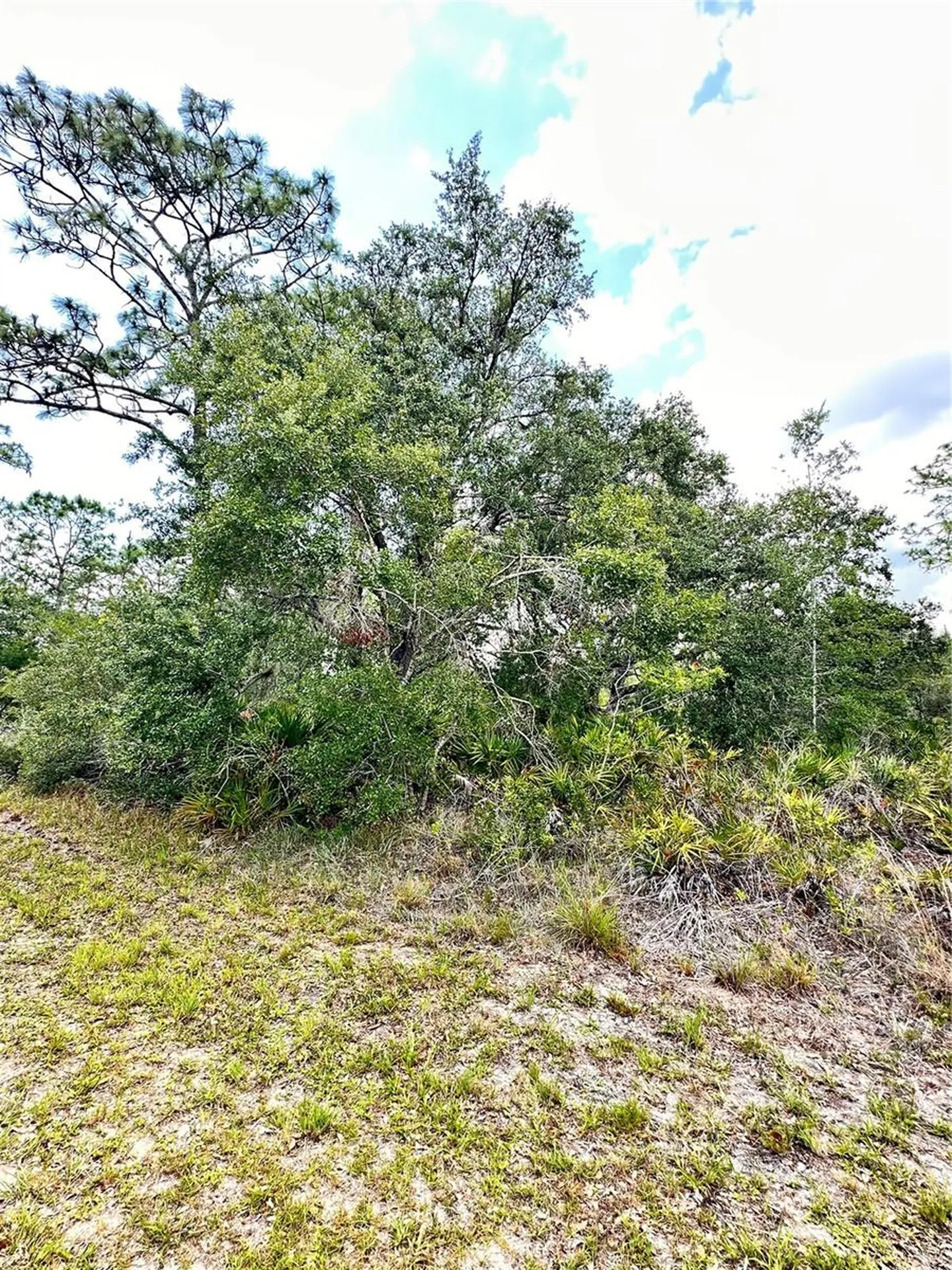 514 Indian Lake Drive Indian Lake Estates FL 33855
