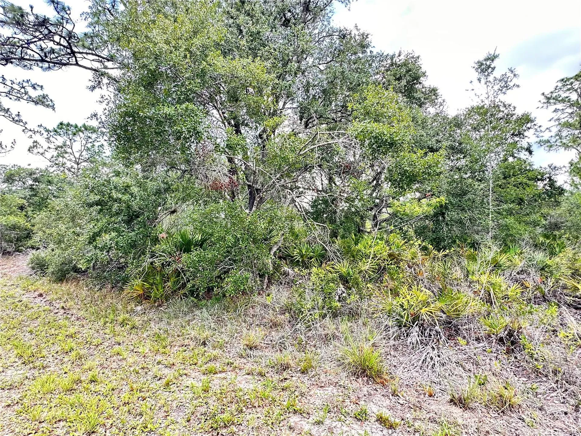 514 Indian Lake Drive Indian Lake Estates FL 33855