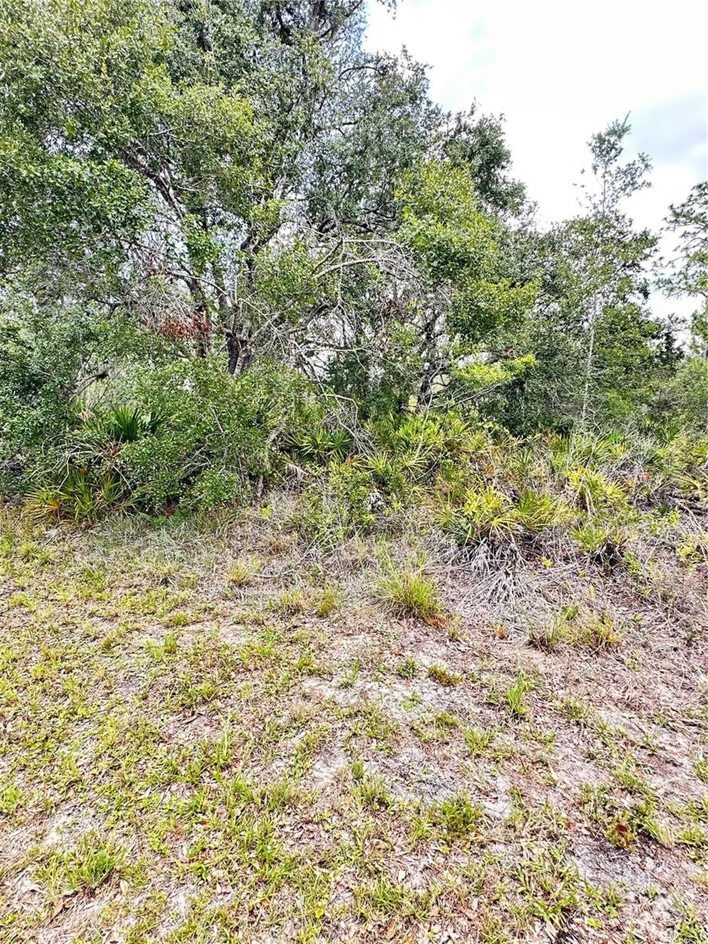 514 Indian Lake Drive Indian Lake Estates FL 33855