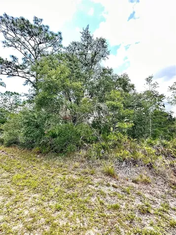 514 Indian Lake Drive Indian Lake Estates FL 33855