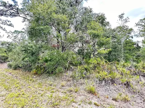 514 Indian Lake Drive Indian Lake Estates FL 33855