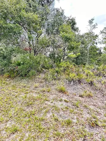 514 Indian Lake Drive Indian Lake Estates FL 33855