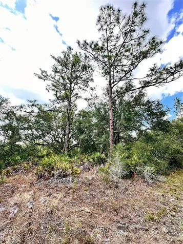 514 Indian Lake Drive Indian Lake Estates FL 33855