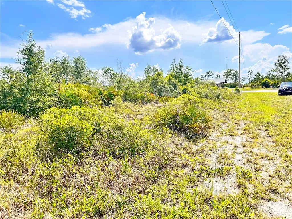 Deland Avenue Indian Lake Estates FL 33855