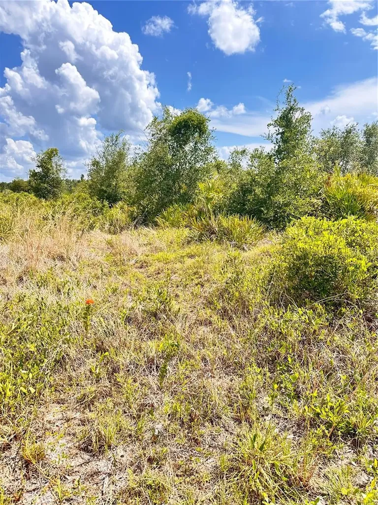 Deland Avenue Indian Lake Estates FL 33855