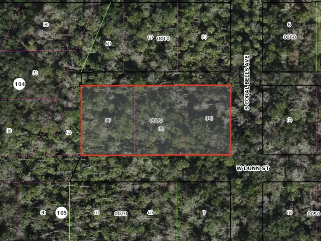 W Dunn Homosassa FL 34448