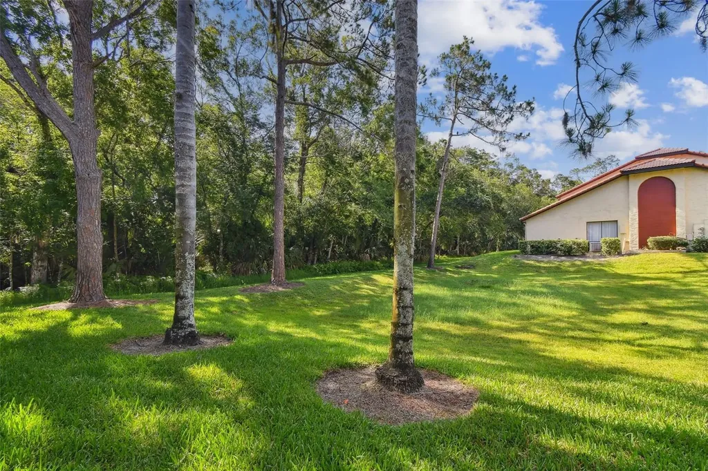1801 E Lake Road Palm Harbor FL 34685