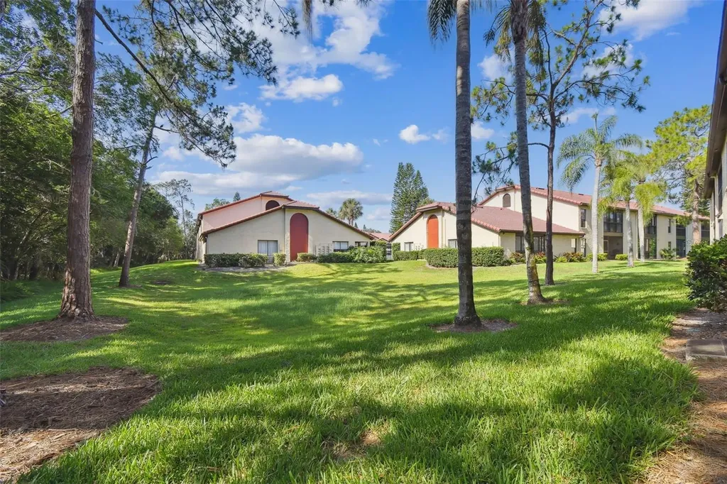 1801 E Lake Road Palm Harbor FL 34685