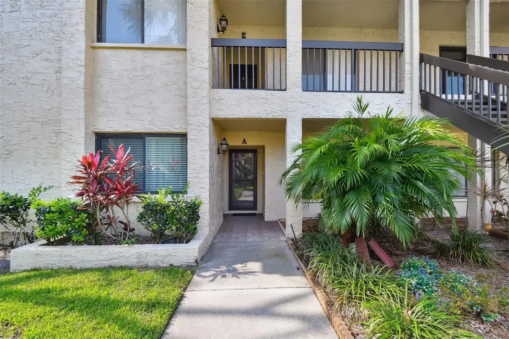1801 E Lake Road Palm Harbor FL 34685