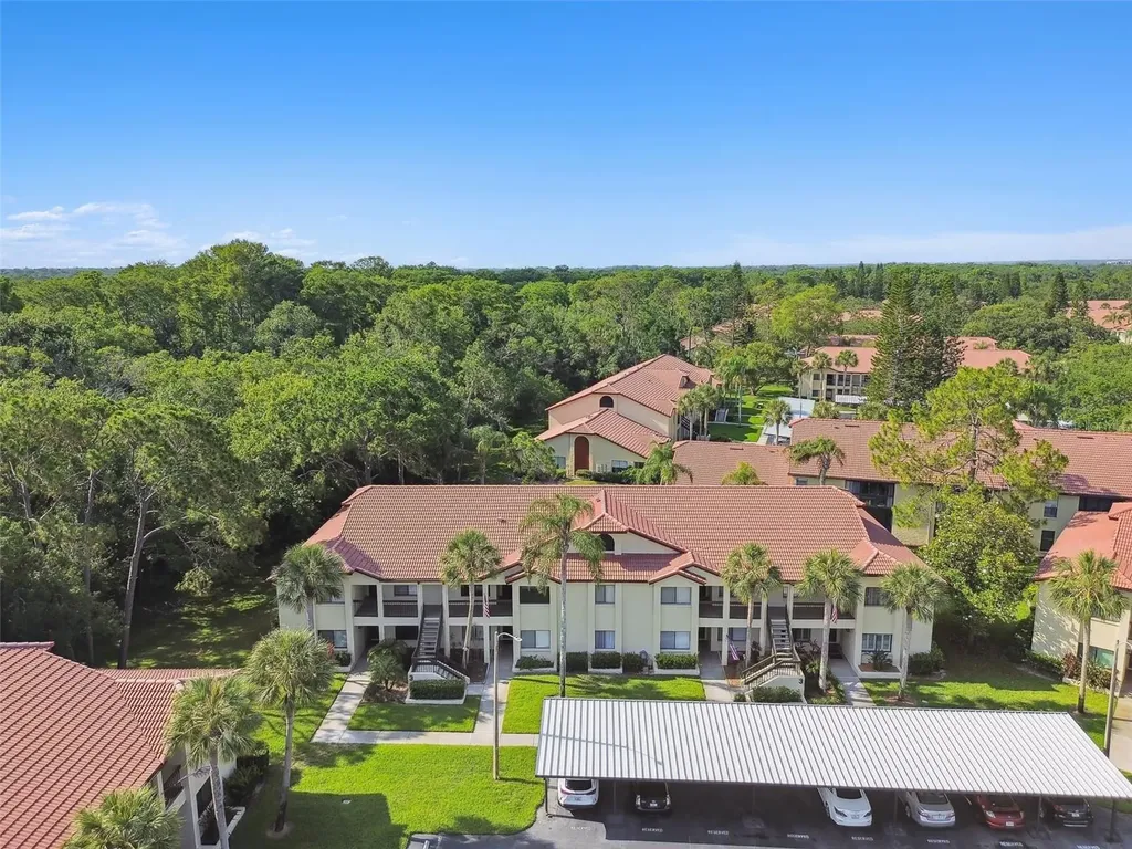 1801 E Lake Road Palm Harbor FL 34685