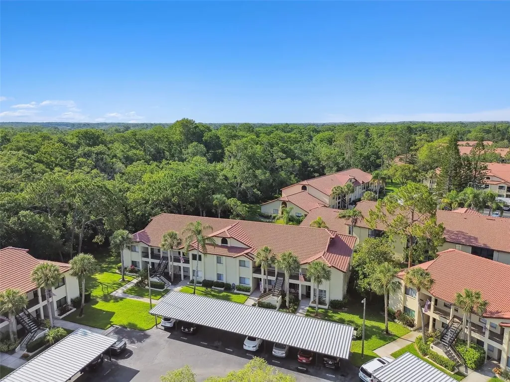 1801 E Lake Road Palm Harbor FL 34685