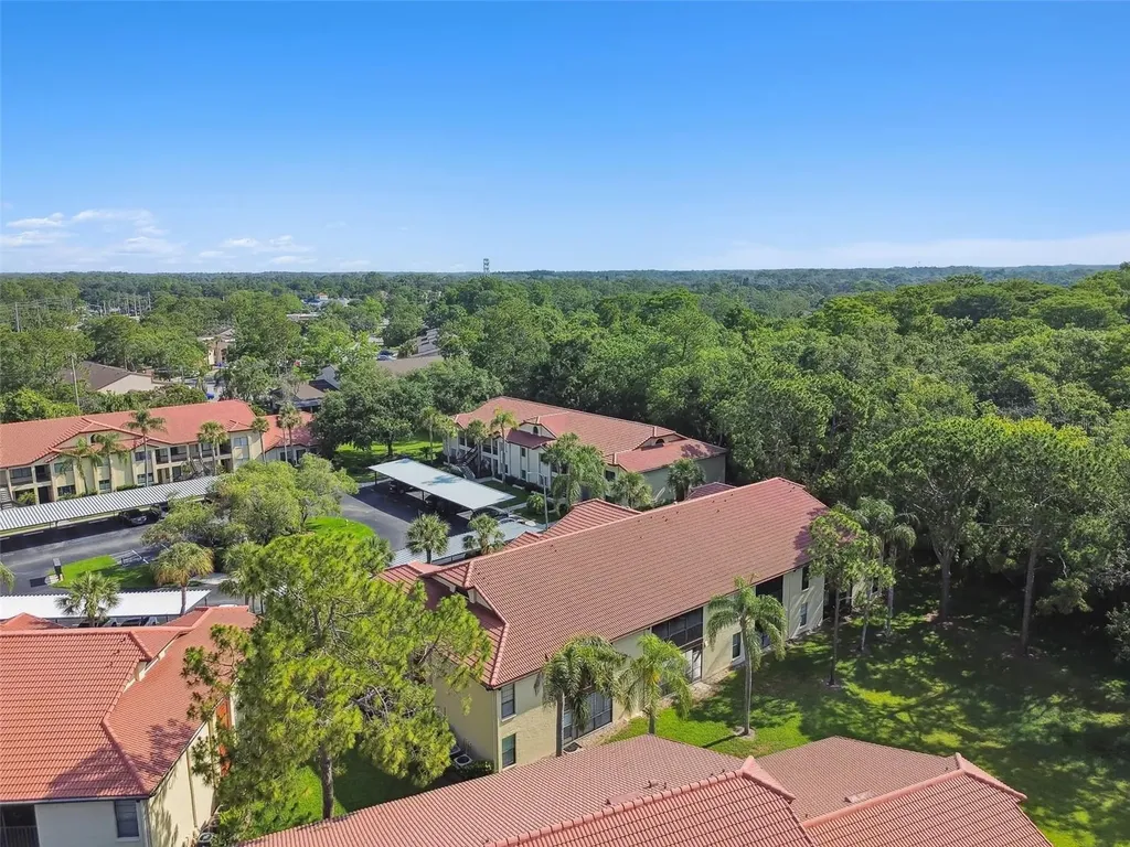 1801 E Lake Road Palm Harbor FL 34685