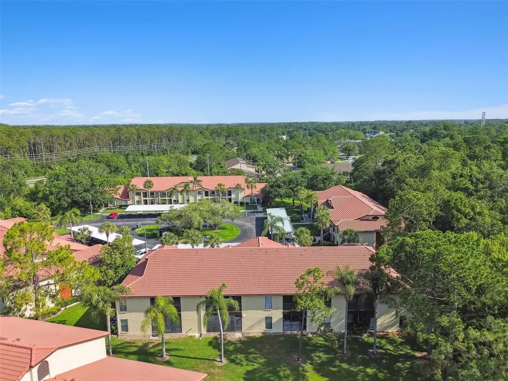 1801 E Lake Road Palm Harbor FL 34685