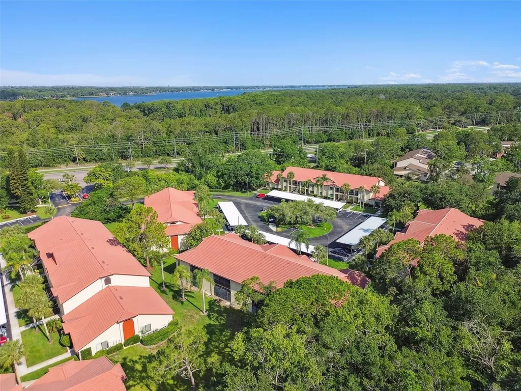 1801 E Lake Road Palm Harbor FL 34685