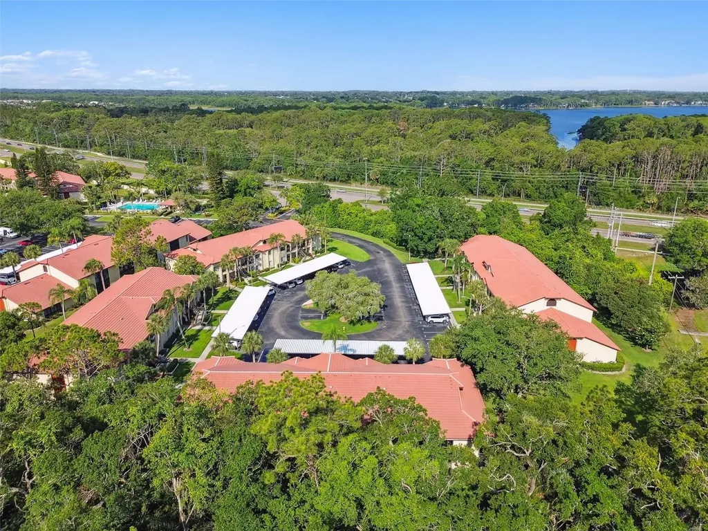 1801 E Lake Road Palm Harbor FL 34685