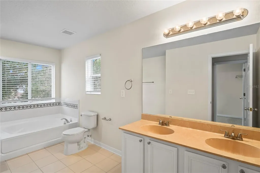 7249 Bridgeview Drive Wesley Chapel FL 33545