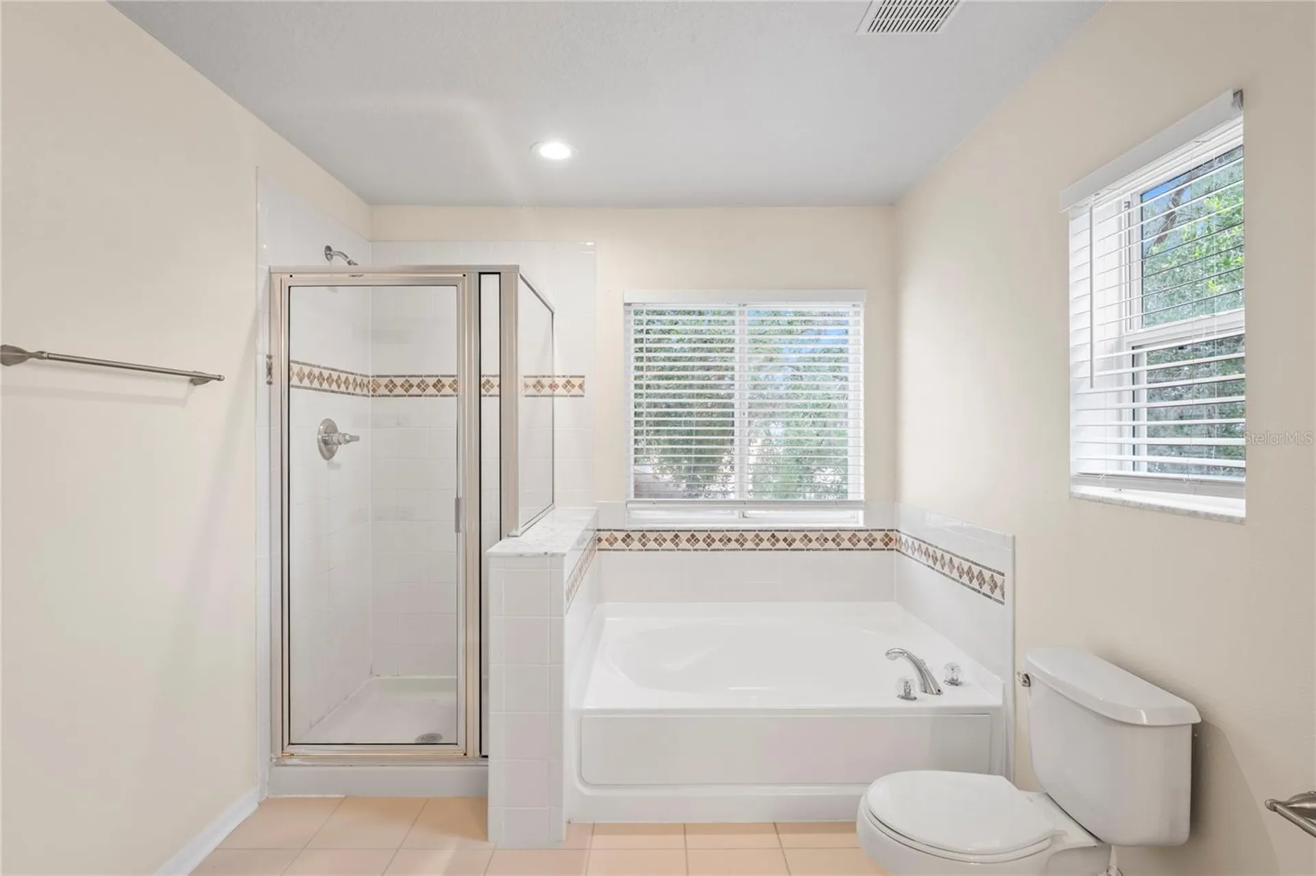 7249 Bridgeview Drive Wesley Chapel FL 33545