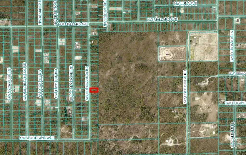 0 SW Buena Vista Road Dunnellon FL 34431