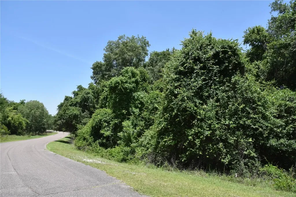 21312 NE 69th Place Melrose FL 32666