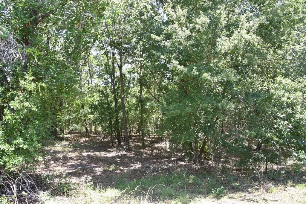 21312 NE 69th Place Melrose FL 32666
