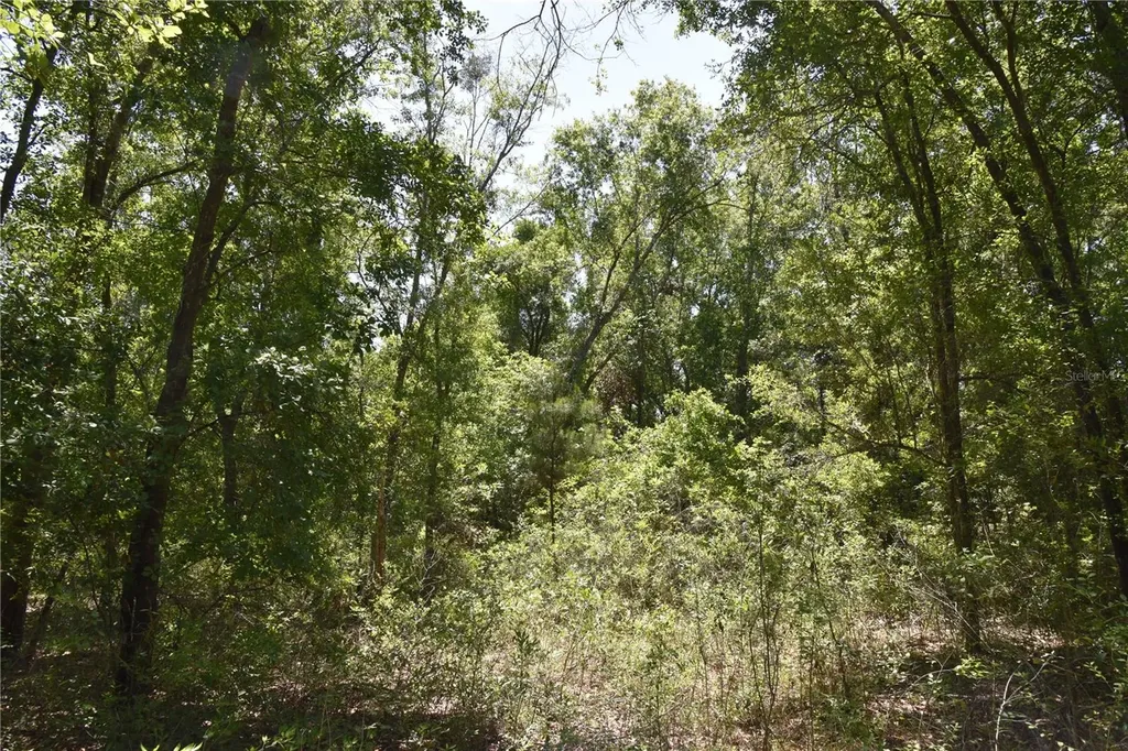 21312 NE 69th Place Melrose FL 32666