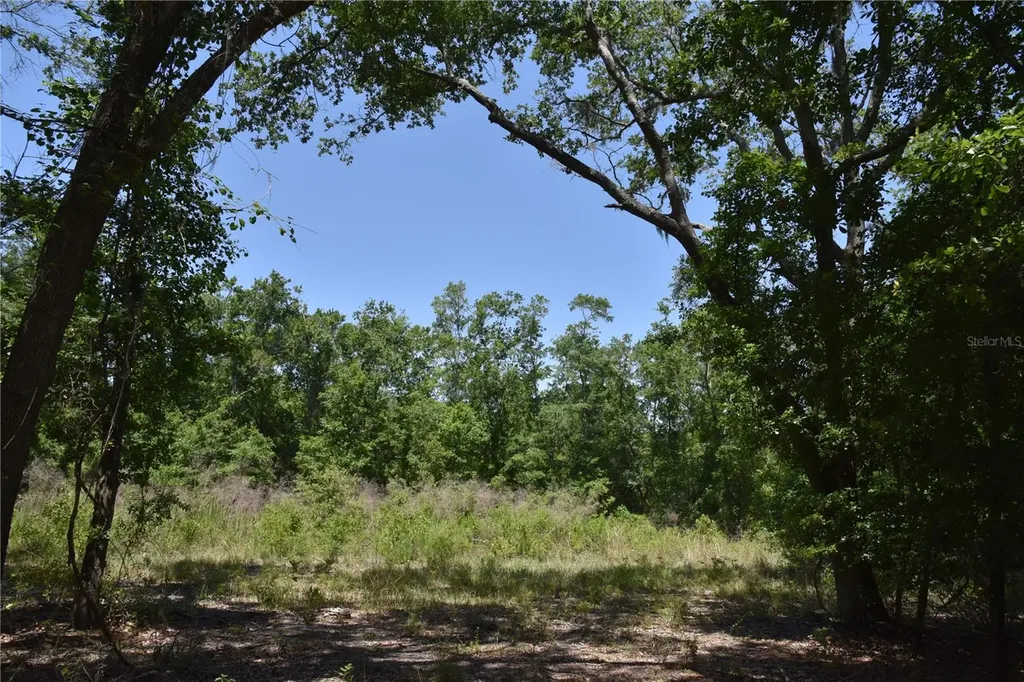 21312 NE 69th Place Melrose FL 32666