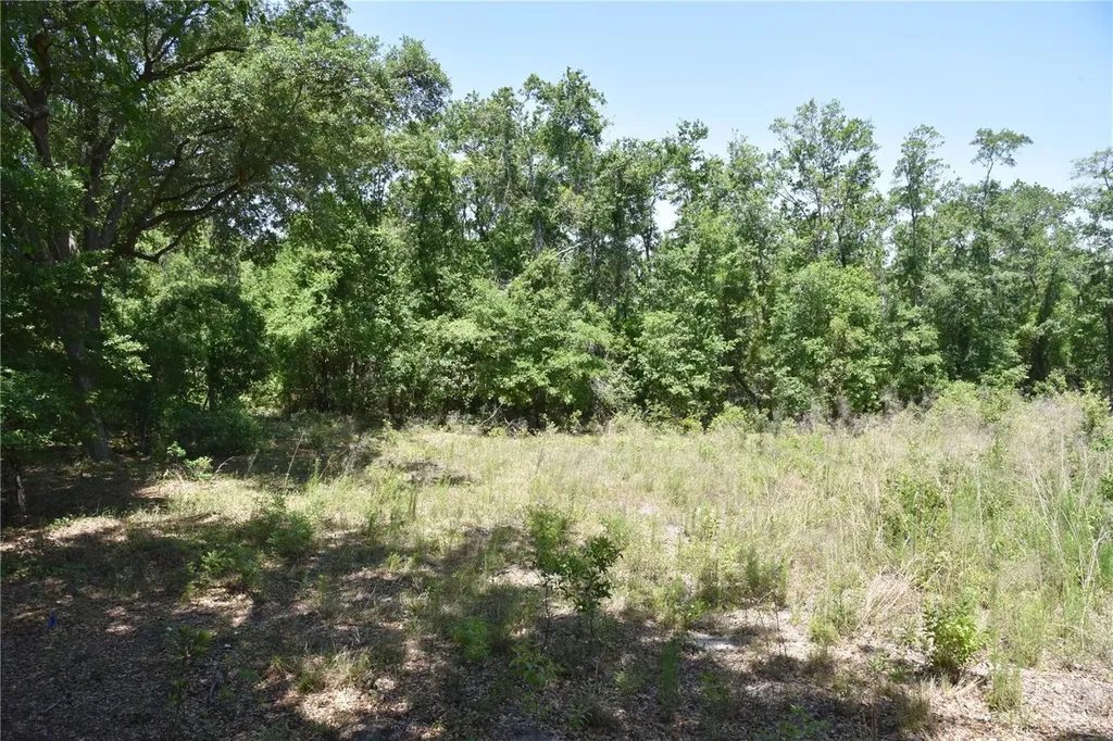 21312 NE 69th Place Melrose FL 32666