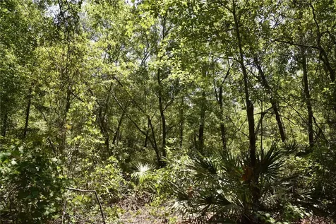 21312 NE 69th Place Melrose FL 32666