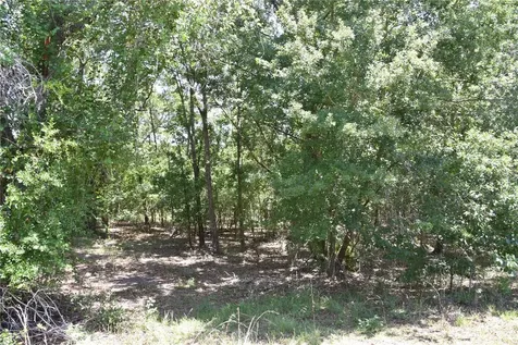 21312 NE 69th Place Melrose FL 32666