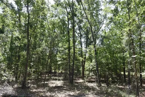 21312 NE 69th Place Melrose FL 32666