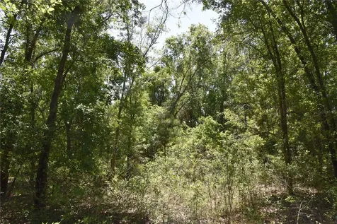 21312 NE 69th Place Melrose FL 32666