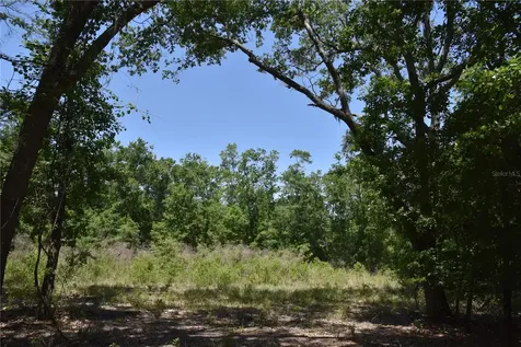 21312 NE 69th Place Melrose FL 32666