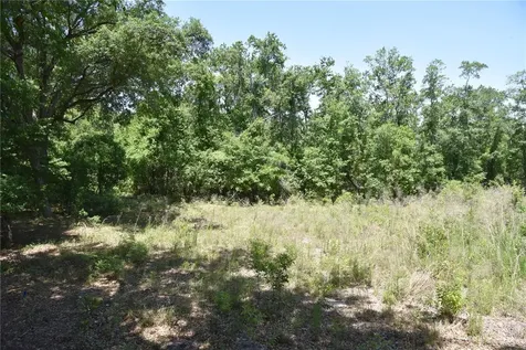 21312 NE 69th Place Melrose FL 32666